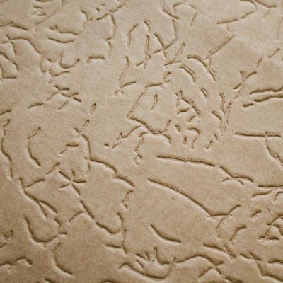 Plate Paper Kraft Eros 300g