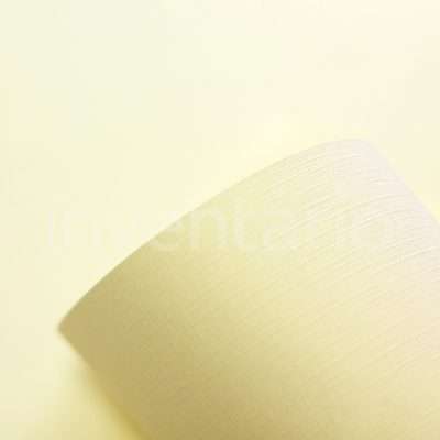 Color Plus Textura Marfim Telado